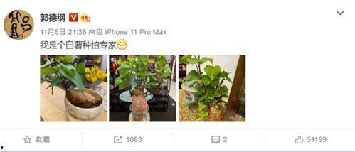 纯属娱乐爆料是什么意思,揭秘娱乐圈幕后真相  第1张